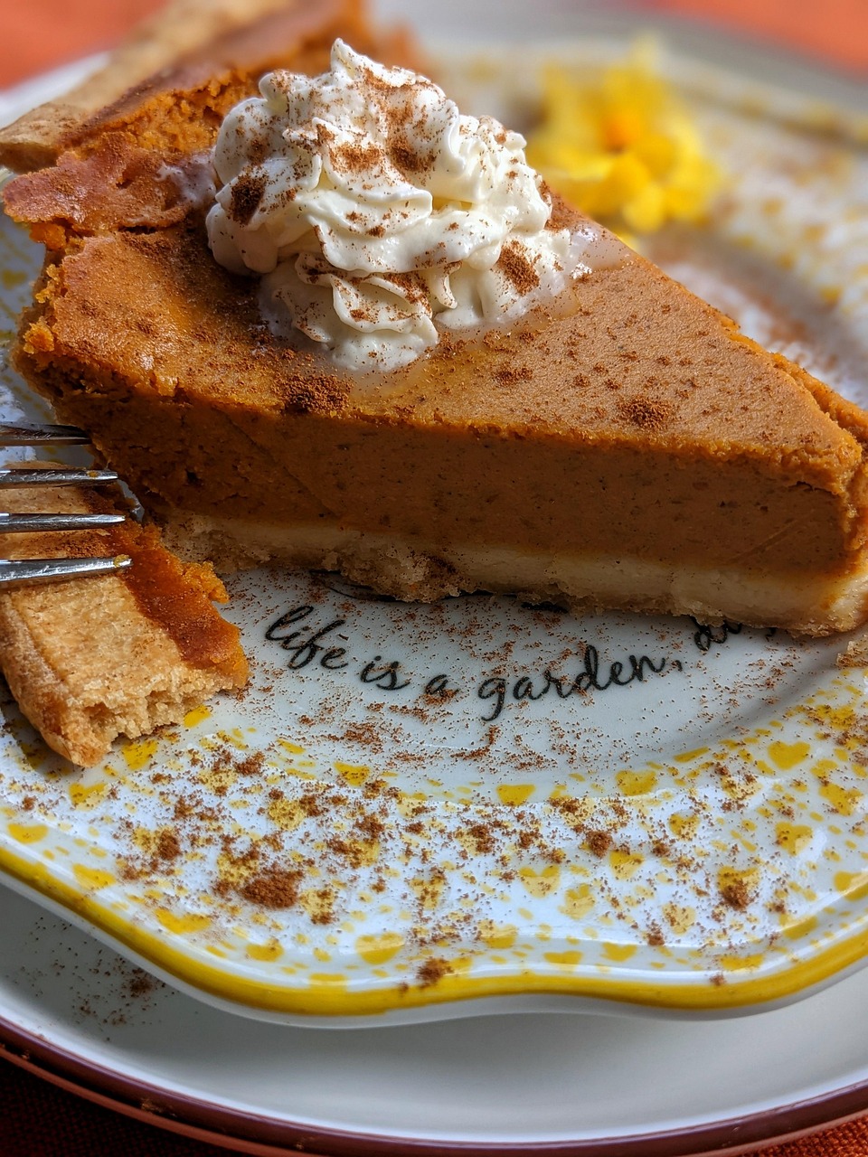 portfolio-img-01 pumpkin pie, pie, dessert, pastry, baked, bakery, delicious, pumpkin pie, pumpkin pie, pumpkin pie, pumpkin pie, pumpkin pie